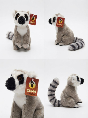 Suma collection ring tailed - suma, ring-tailed