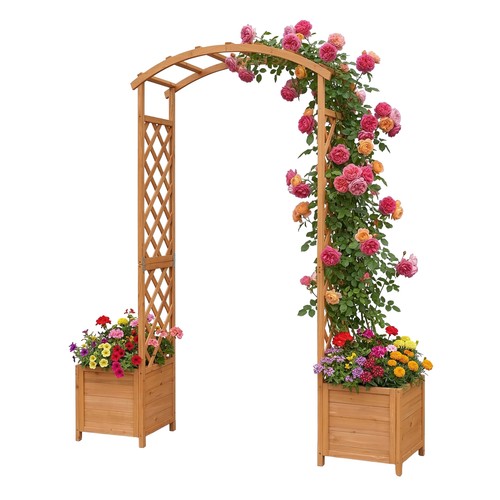 Rose arch garden - rose,