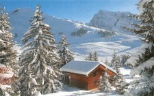 ALBERTVILLE - Cottage and fir