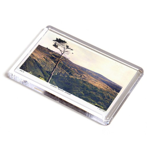 Fridge magnet vintage - fridge,