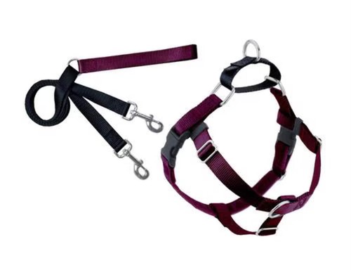 Hounds design burgundy - hounds,