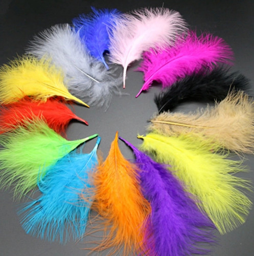 Veniard turkey feathers - 50,
