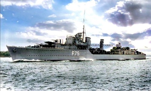 Royal navy tribal - royal,