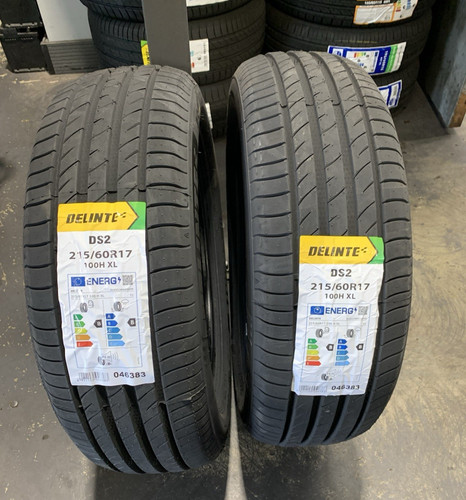 215 r17 100h xl delinte - 2, 215/60