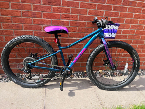 Cannondale women mountain - women’s,