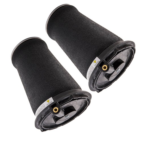Pair rear air - pair, suspension