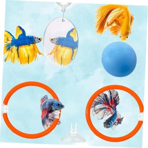 Bettairror enrichment fish - bettairror,