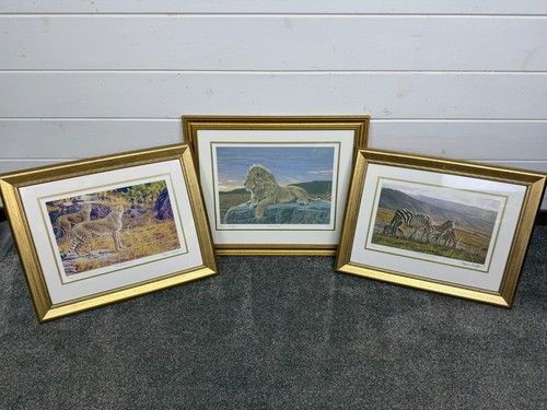 Stephen gayford limited - gayford,