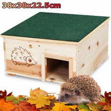 New tortoise rabbit cat guinea - rabbit,