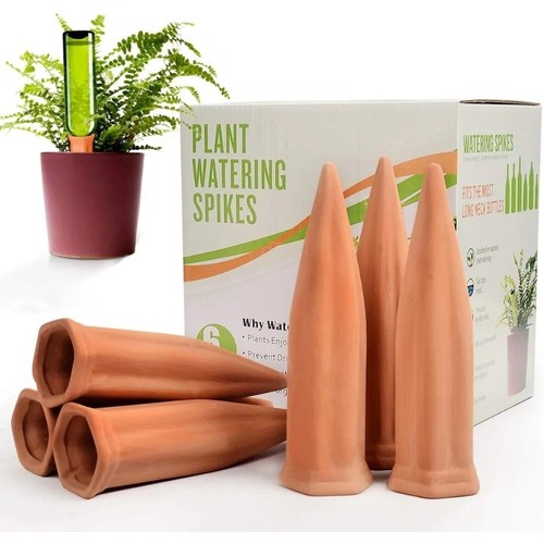 Pack terracotta plant - 4/8,