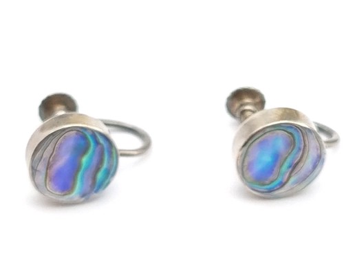 Vintage abalone earrings - vintage,