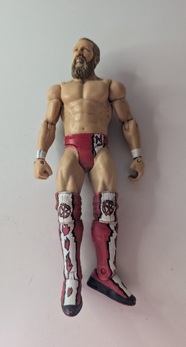 2012 daniel bryan - bryan, danielson