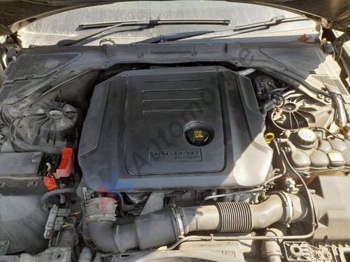 Jaguar x260 x760 15 19 - jaguar, xe