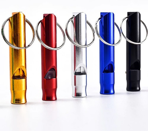 Dog whistle puppy pet walking - pet,