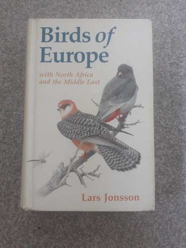 The birds europe with - birds, europe: