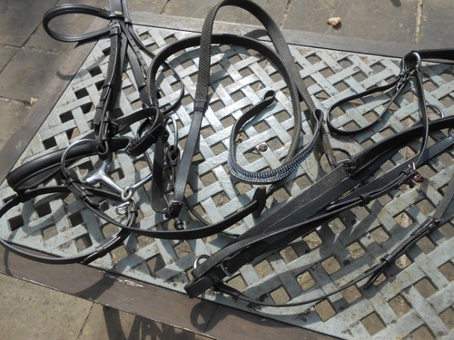Flash bridle snaffle - flash, +