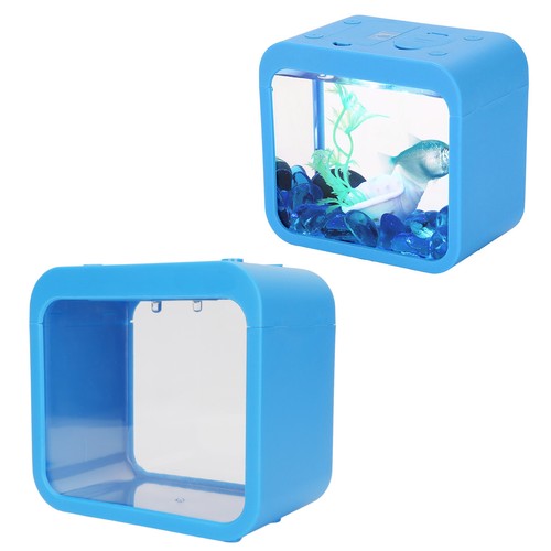 Aquaponic betta fish tank - betta,