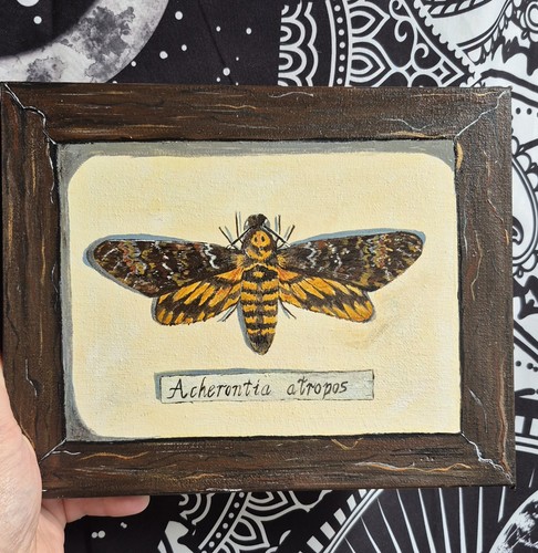 Handpainted faux taxidermy - faux,