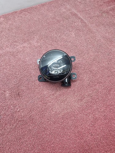 Fog light lamp - light, c4