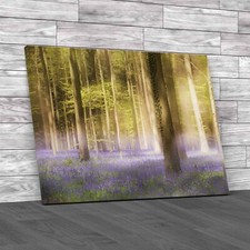 Daydreaming Of Bluebells Canvas Print Large Picture Wall Art
