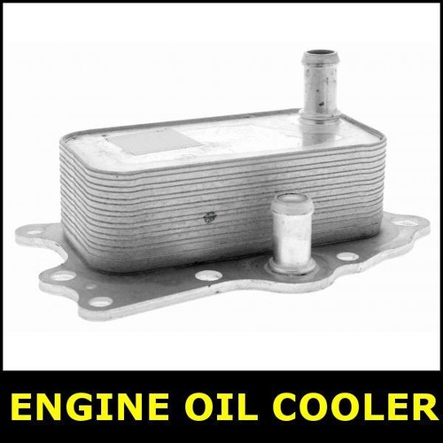 Engine oil cooler - engine,