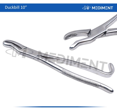 Equine extraction forceps - extraction,