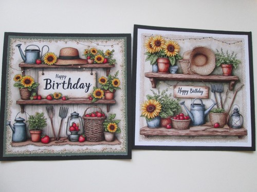 Set birthday - 2, x