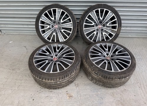 Genuine jaguar maroa - jaguar, 20"