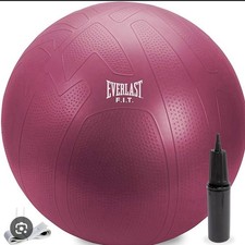 Stability Ball Pro