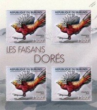 GOLDEN (Chinese) PHEASANT / Bird Gamebird Stamp Sheet #7 of 7 (2012 Burundi)