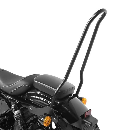 Sissy bar for harley sportster - for,