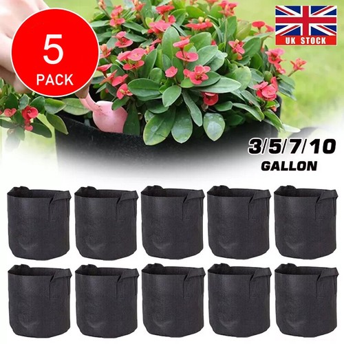 Large plant grow - large,