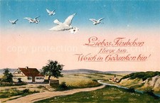 carrier pigeon carrier pigeon