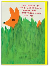 David Shrigley Birthday