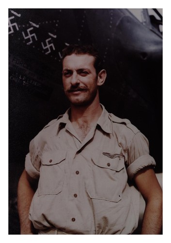 P38 fighter ace north africa - ace,