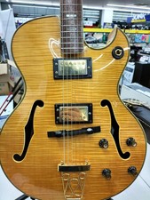 Aria 500N Full Hollow Body