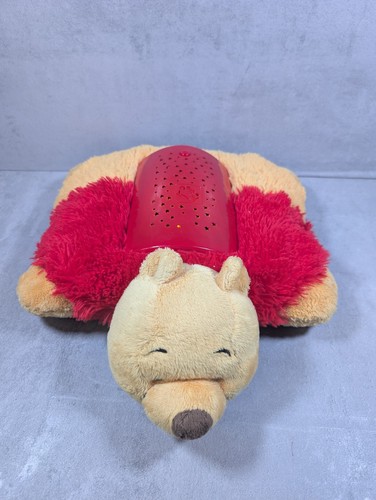 Disney winnie the pooh pillow - the,