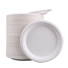 Bagasse Paper Plates 6/7/9/10