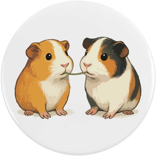Guinea pigs eating button - 'guinea, eating'