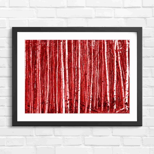 Bold red leaves - bold, white