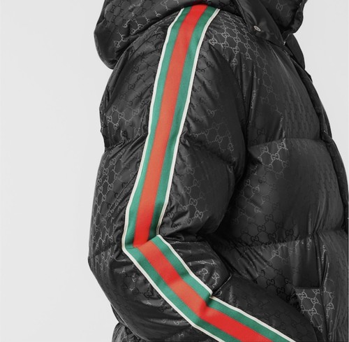 Gucci web hooded - gucci,