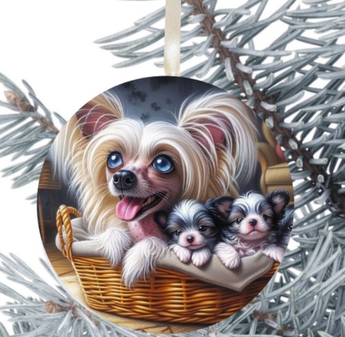 Chinese crested dog hanging - chinese,