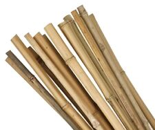 3FT X10  Pcs Bamboo Canes Strong Thick Garden Plant Support Stick