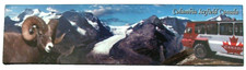 Souvenir Columbia Icefield, Canada, photo image, extra large fridge magnet