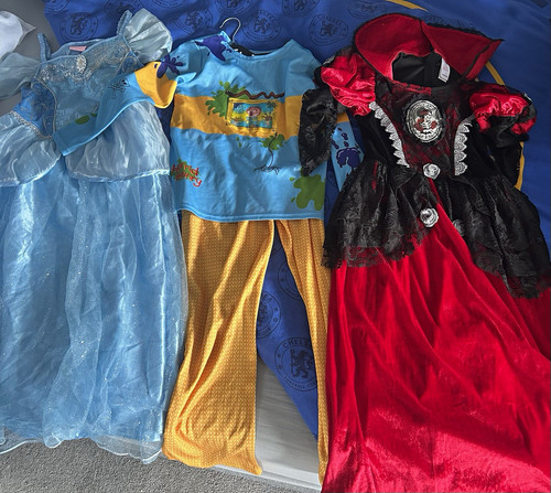 Fancy dress bundle inc - 3,