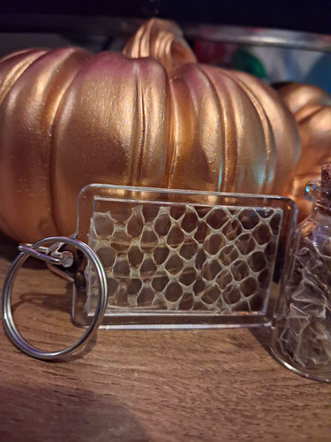 Corn snake shed keyring and - corn,