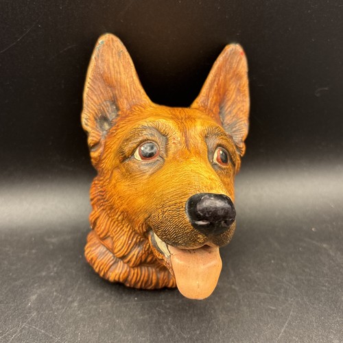 Alsatian german shepherd - alsatian,