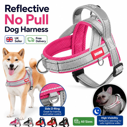 Reflective pull dog - dog, harness