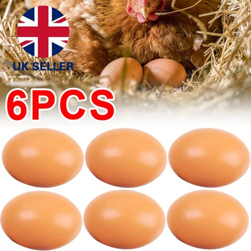 Smooth wood artificial eggs - smooth,