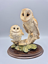 Country Artists Barn Owl With